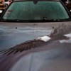 66 Jaw Dropping Examples Of Aerography Artworks On Cars