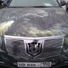 66 Jaw Dropping Examples Of Aerography Artworks On Cars