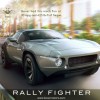 rally fighter 100x100
